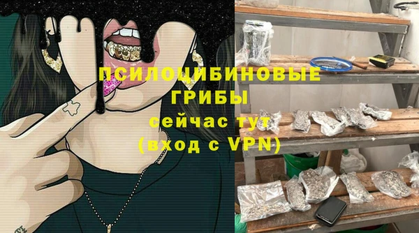 кокс Арсеньев