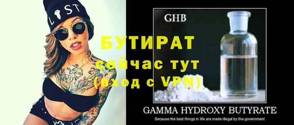 хмурый Ельня