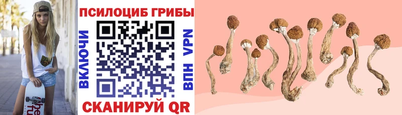 Галлюциногенные грибы Cubensis  Чёрмоз 
